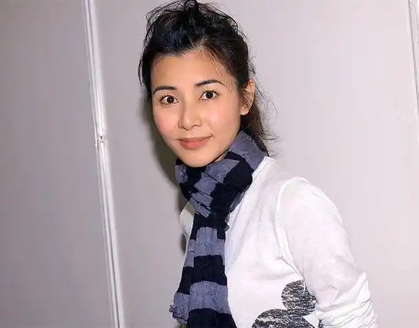 蒙嘉慧主演的电视剧(郑伊健蒙嘉慧什么时候结婚的)(23)