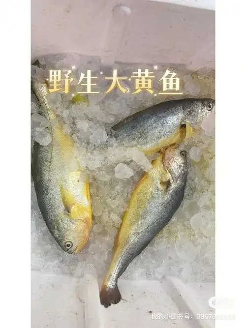 海鲜海产品大汇总