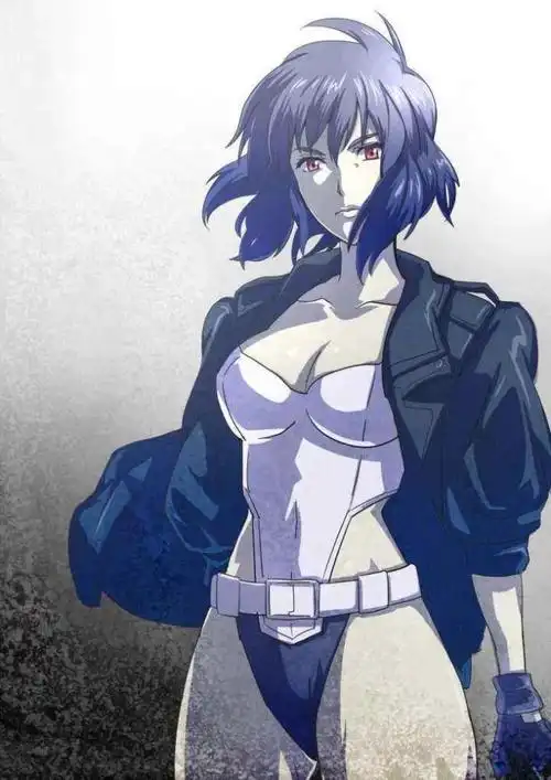 《黑执事》的夏尔,《物语》的忍野忍,fate中的贞德,以及《攻壳机动队