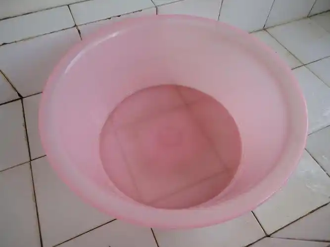 猩猩猴子小棉羊的相册-毕业出清物品真相