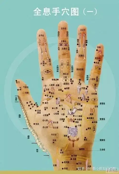 背诊断学五行背诊中医察言观色诊断