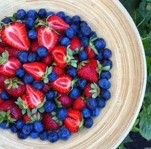 好看的水果拼盘唯美小清新图片