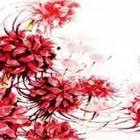 彼岸花古风图片_微信头像图片大全