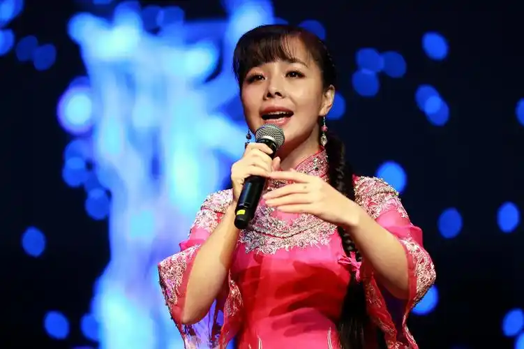 北京歌舞剧院歌唱家 王二妮(饰演演唱会歌手)