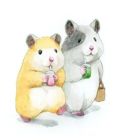 萌萌哒手绘仓鼠情侣头像仓鼠漫画萌图头像超萌