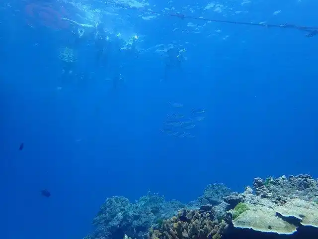 因为我选择在大皇帝岛深潜,亲眼记录下海底的美景