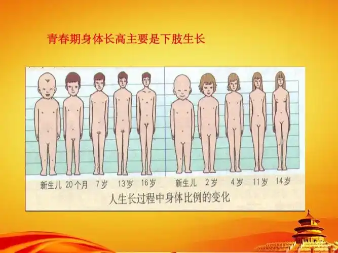 青春期身体长高主要是下肢生长