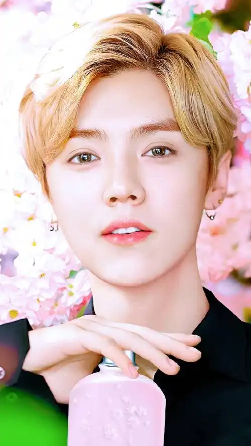 exo鹿晗我鹿的美颜盛世