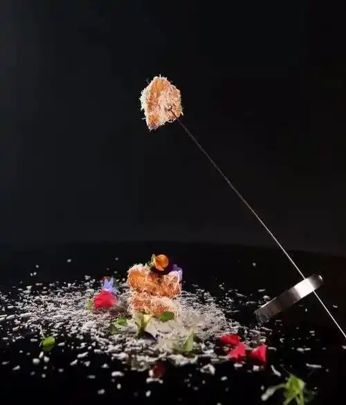 意境菜欣赏出品新颖