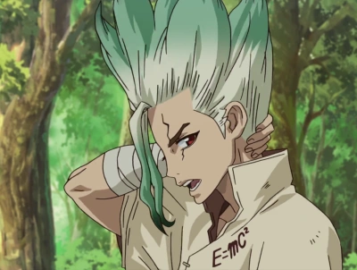 收集   点赞  评论  石神千空 lofter id:dor