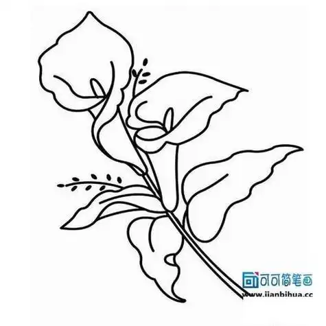 六年级花朵简笔画