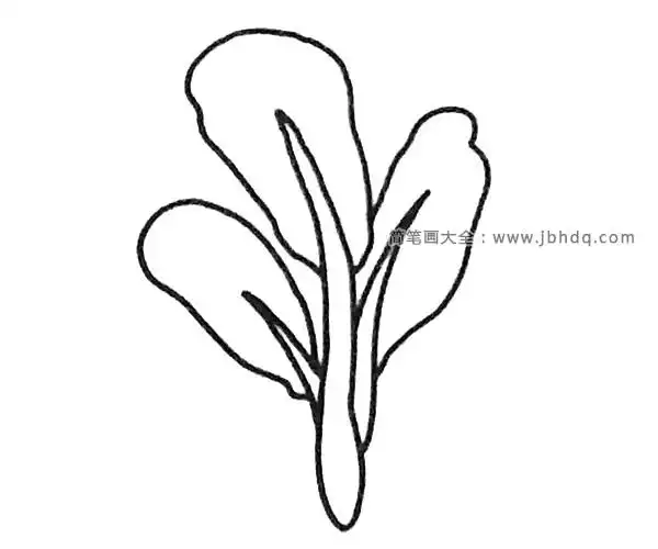 菠菜简笔画图片大全