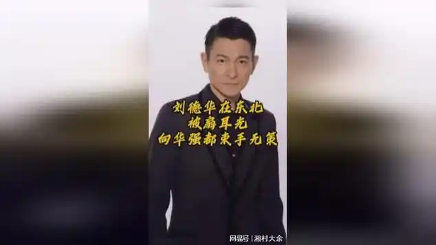 刘德华在东北被扇耳光,向华强都束手无策,他一句话就摆平了_网易视频