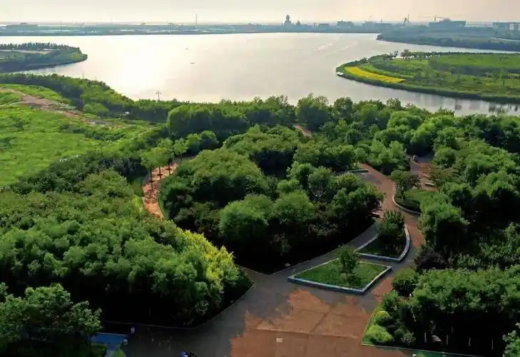 滨海新区将打造321公里绿色廊道67计划明年贯通