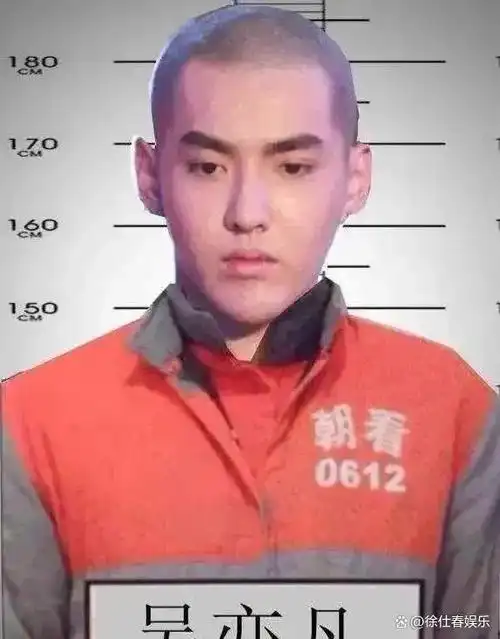 官方吴亦凡需服刑完再被驱逐出境维持原判