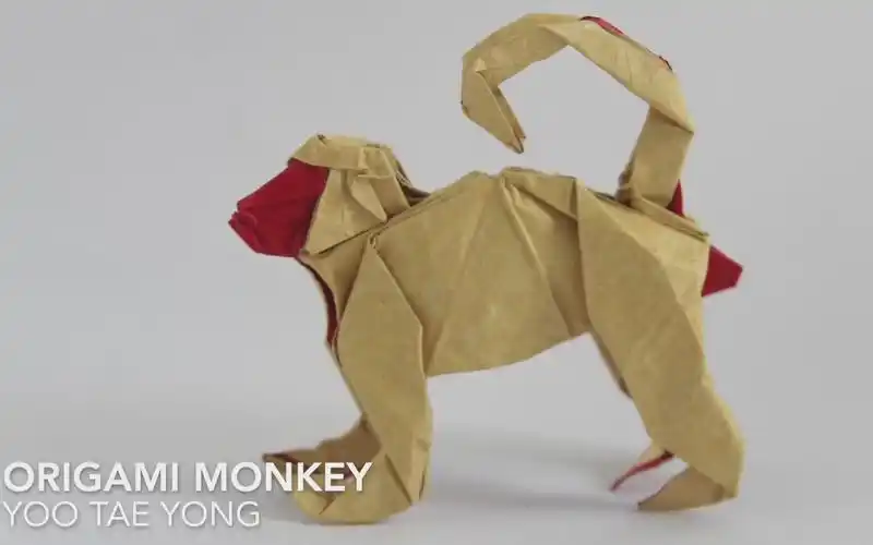 【折纸搬运】猴子 屁股红不红?