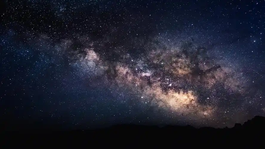 霸道霍总也爱工作