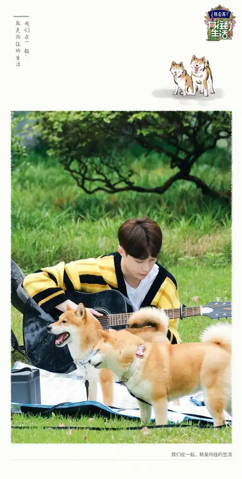 张艺兴向往的生活剧照你们觉得怎么样?