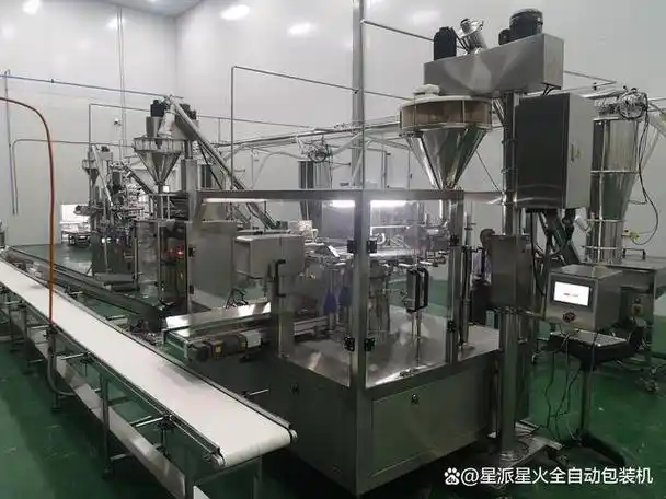 粉剂全自动包装机引领食品调料行业进入智能包装发展新时代!