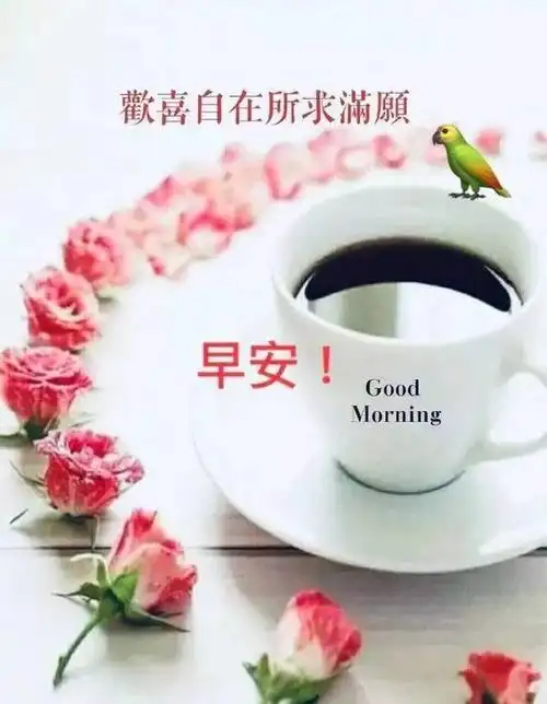 秋季朋友圈最新早上好问候祝福语大全,早安问候漂亮祝福图