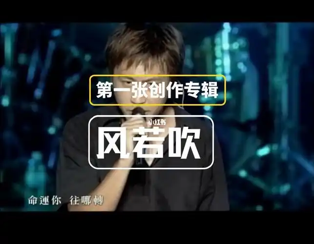 不得不说早期阿信的舞台连眼神都是戏