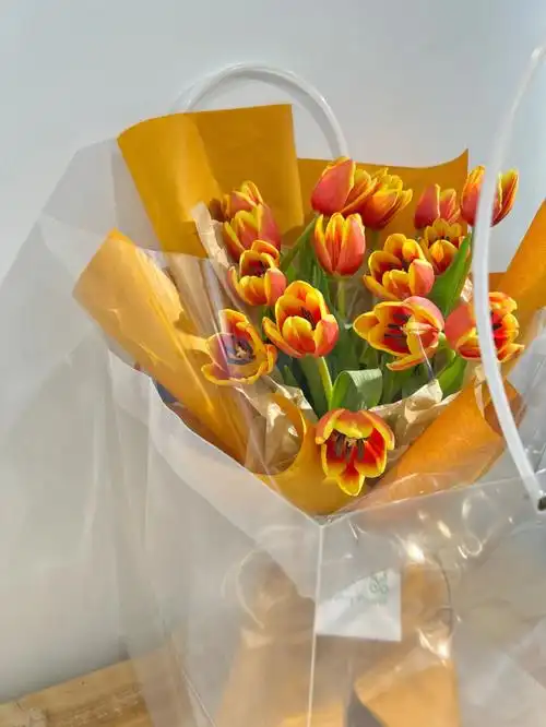 长春橙色郁金香花束ins风花束