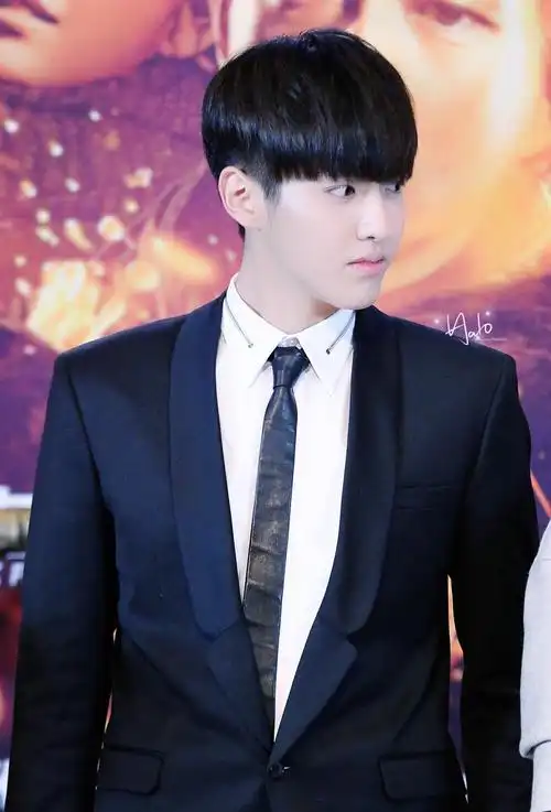 2014吴亦凡《智取威虎山》首映礼发布会站台_高清图片大全-爱豆app