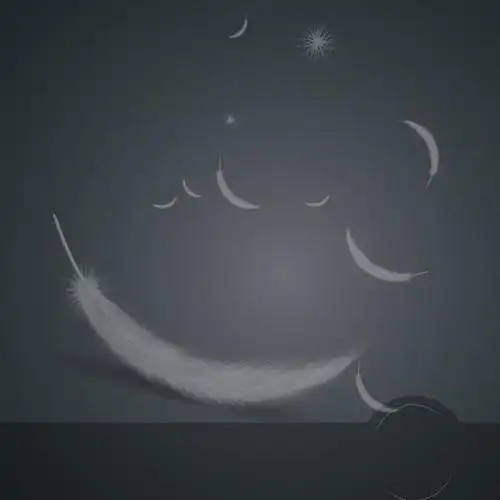 简约羽毛狗尾草淘宝主图背景背景素材免费下载(图片编号:7814435)-六