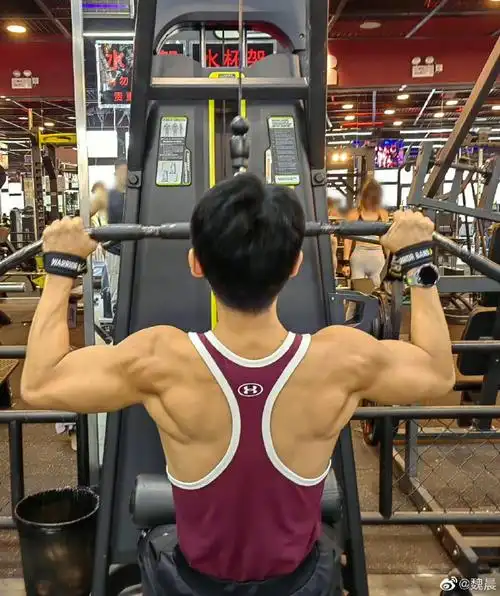 魏晨背部肌肉线条好绝