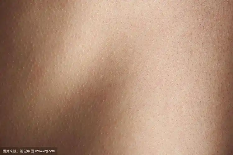 人体背部的皮肤纹理