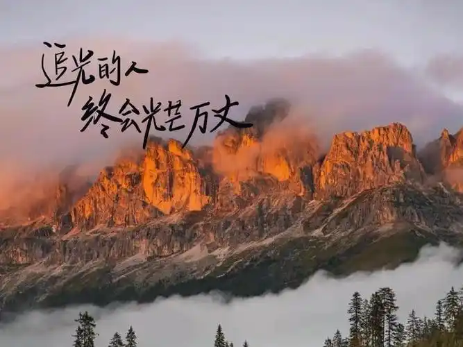 一期励志上岸电脑壁纸