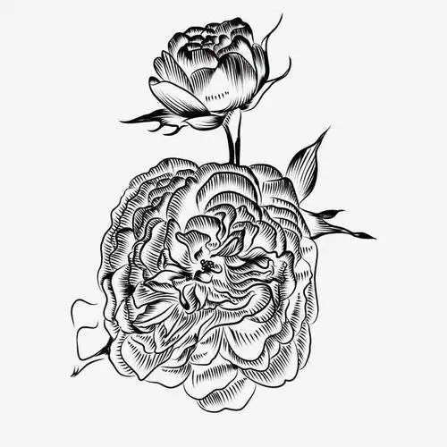 手绘黑白花卉装饰