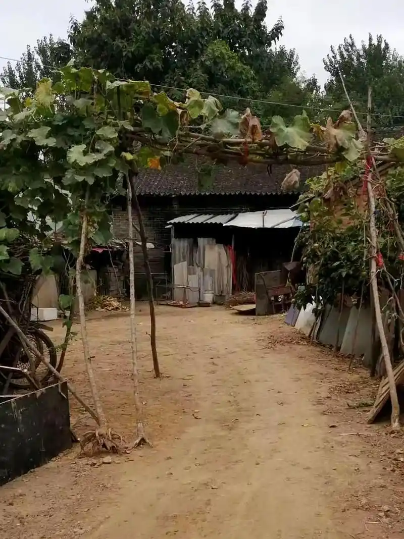 临颍小伙回了一趟农村老家拍下这些照片感叹再也回不去了