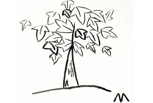 简单漂亮的枫树简笔画大树简笔画