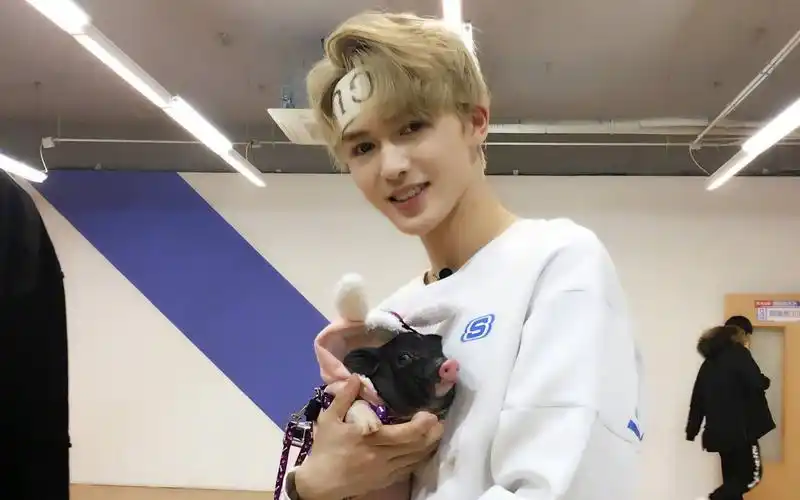 【乐华朱正廷】【快闪】【打脸向】人间仙子下凡啦 走过路过不要错过