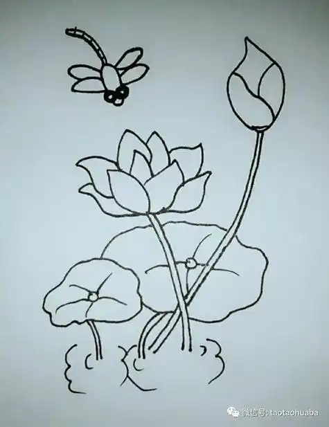 strong>荷花简笔画 /strong>