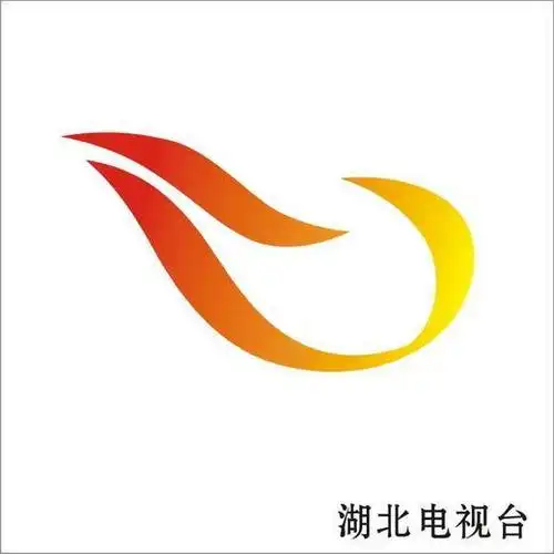 收集电视台各频道台标新