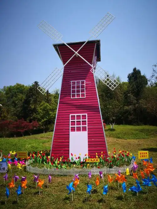 浪漫风车节,悦动天龙湾