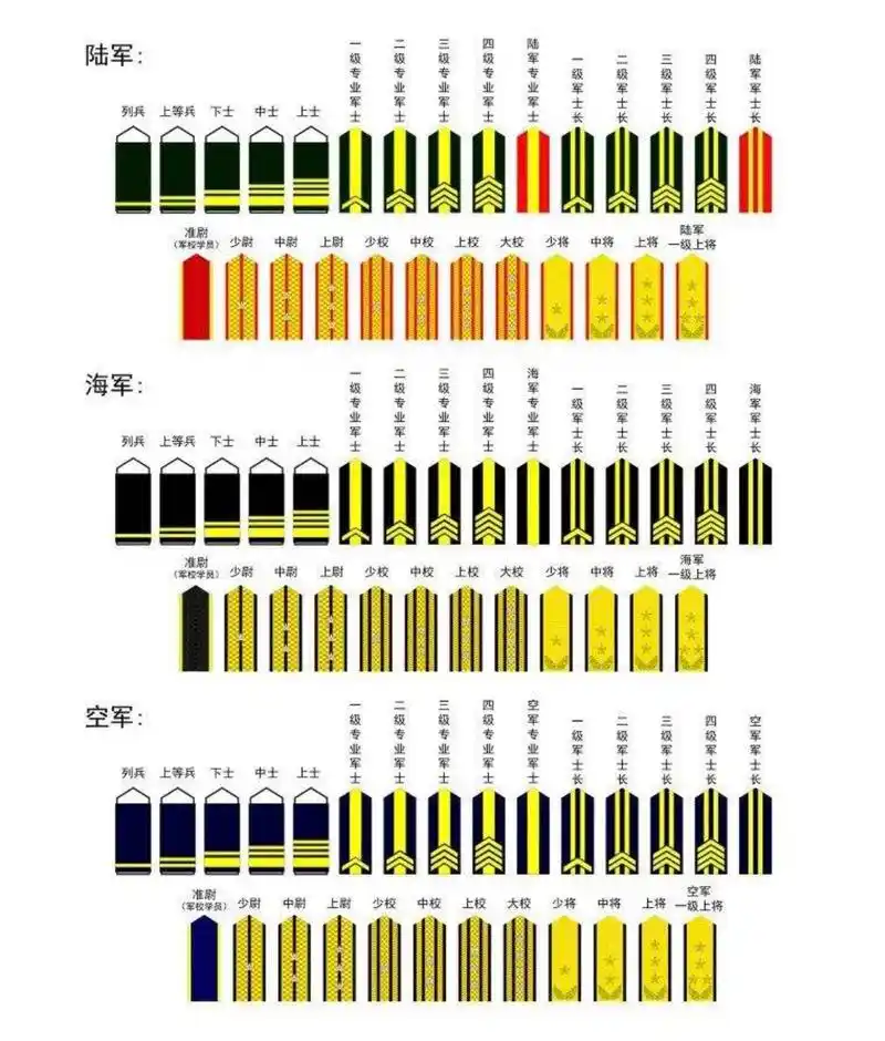 王牌部队:排长,连长,团长分别管多少人,都是什么军衔?
