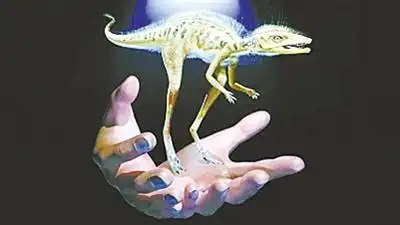 最小恐龙 大小如同手机