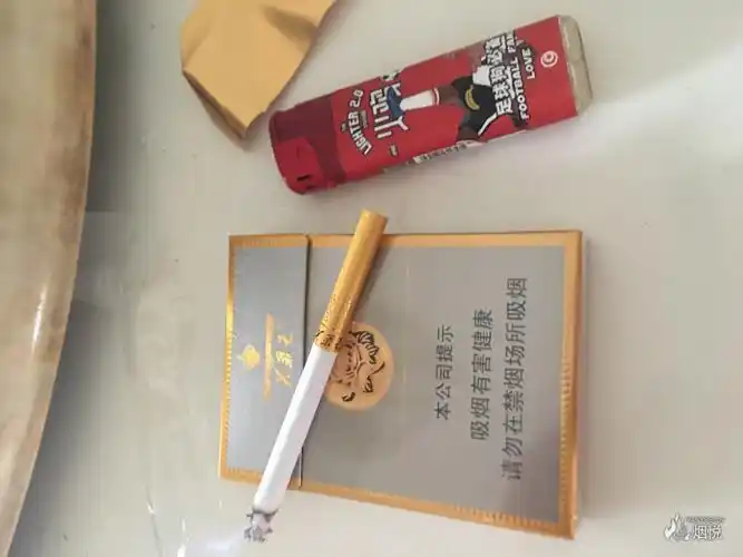 初尝非卖中支黄芙蓉王