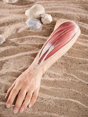 德设计师硅胶制精致义肢难辨真假(组图)