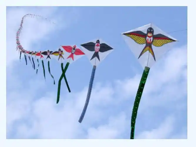 数学人教版八年级上册筝形的魅力pptx