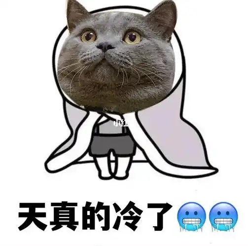 汤圆表情包天真的越来越冷了今天下雪了吗