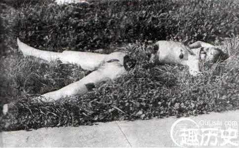 美国史上最骇人听闻的惨案:黑色大丽花惨案