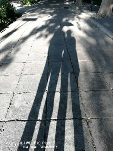 2017年你有拍了哪些舍不得删的照片呢?