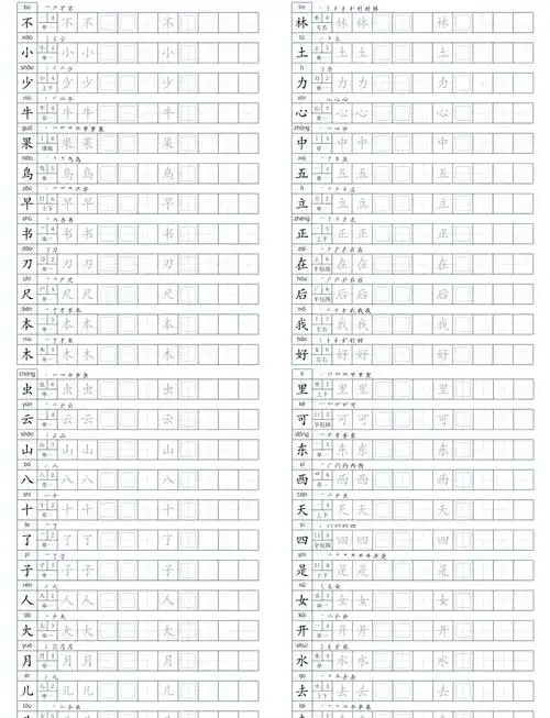 6年级生字本大放送🎉