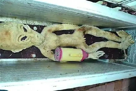 山东滨州"电死外星人"事件引爆网络 该闹剧幕后推手曝光