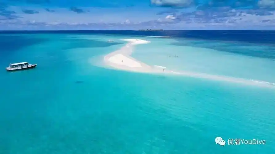 去bbc蓝色星球拍摄地与manta风暴同游