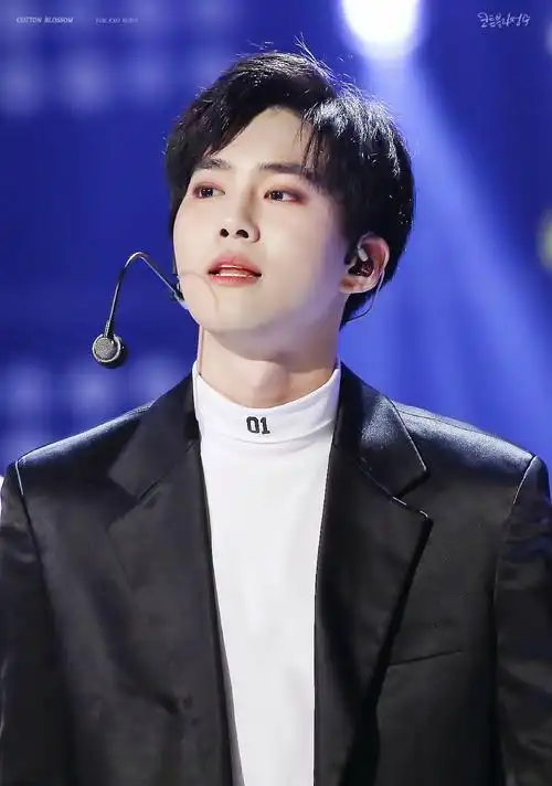 exo 金俊勉 suho 161101 powerfm 20周年演唱会 [cotton blossom]